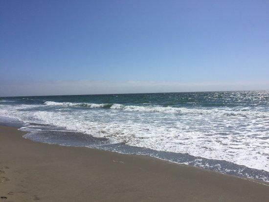 Manresa State Beach